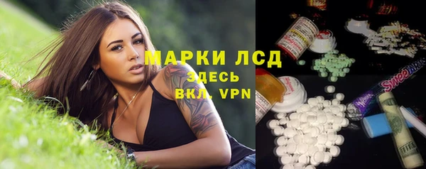 прущие грибы Нефтегорск