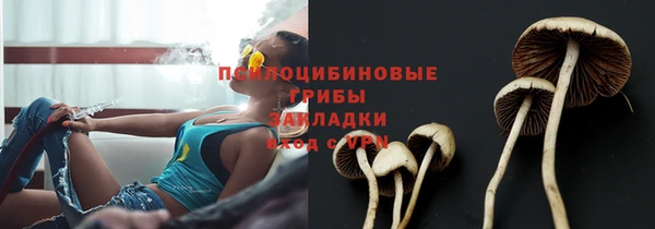 прущие грибы Нефтегорск