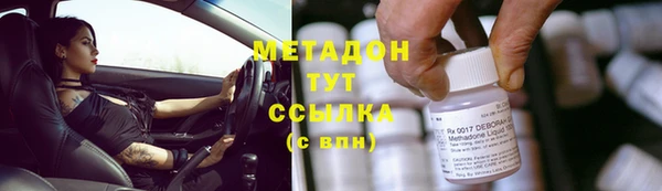 прущие грибы Нефтегорск