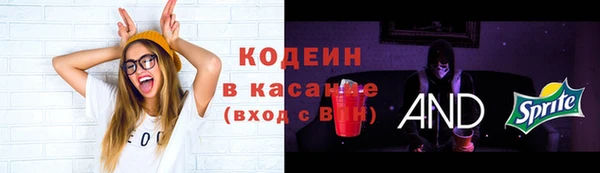 прущие грибы Нефтегорск