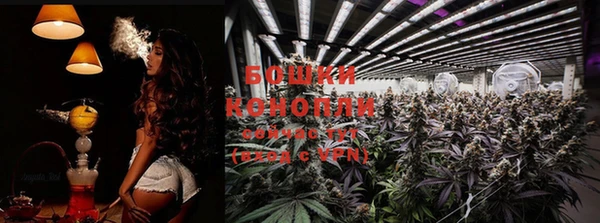 ECSTASY Нефтекумск
