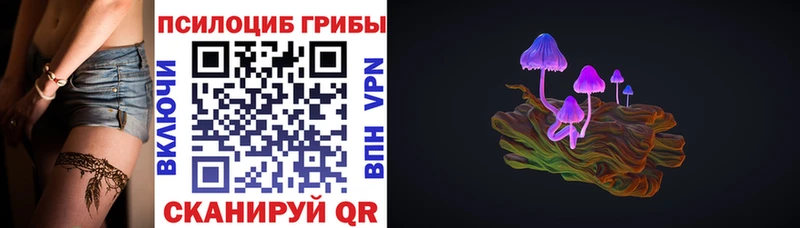 мориарти телеграм Новотитаровская Псилоцибиновые грибы GOLDEN TEACHER blacksprut tor