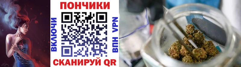 darknet состав  Новотитаровская  Бошки марихуана план 